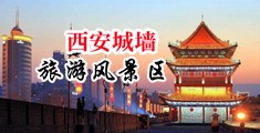 大鸡巴操小逼逼下载中国陕西-西安城墙旅游风景区